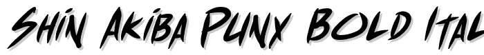 Shin Akiba Punx Bold Italic font